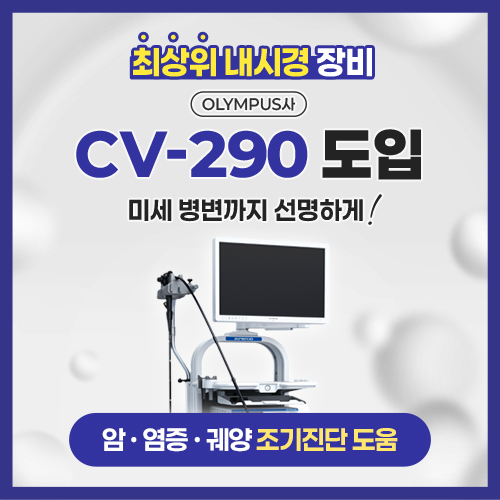 CV-290 도입